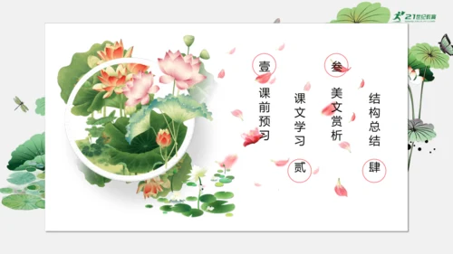 7 散文诗二首 荷叶母亲 课件