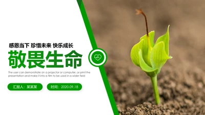 绿色唯美植物生长敬畏生命发芽PPT模板