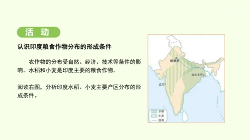 8.3 印度（课件35张）-2024-2025学年七年级地理下学期人教版(2024)