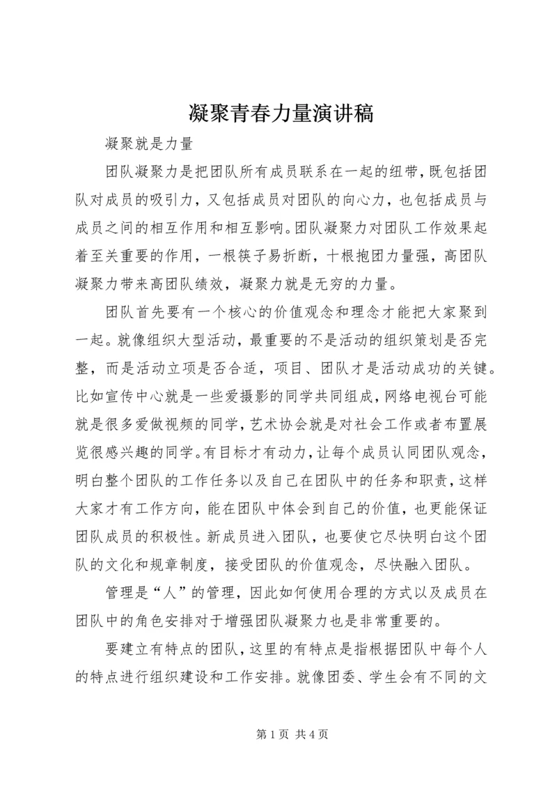 凝聚青春力量演讲稿 (4).docx