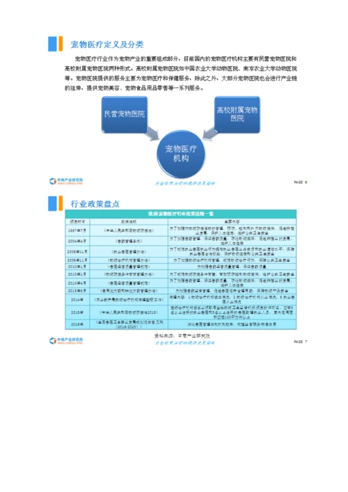 宠物医疗行业市场前景研究报告.docx