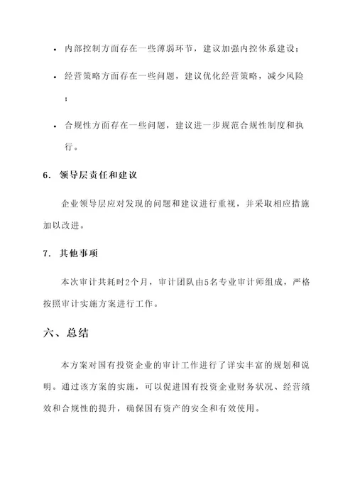 国有投资企业审计方案