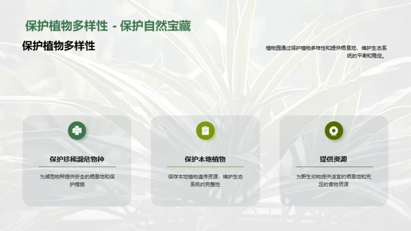 绿色卫士：植物园的力量