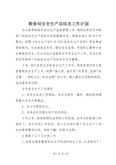 粮食局安全生产总结及工作计划.docx