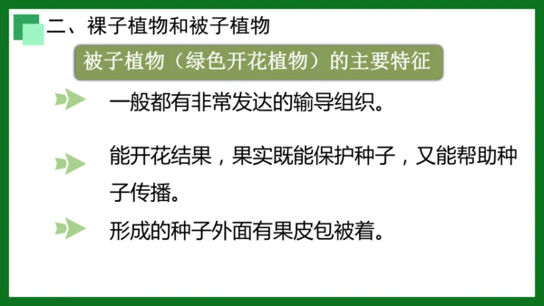 人教版（2024）七年级上册2.1.2 种子植物 课件(共32张PPT)+视频素材