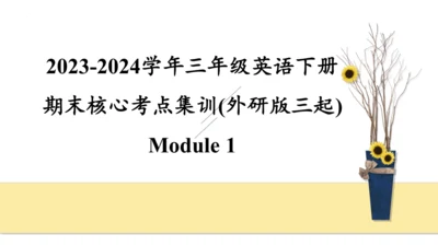 外研版（三年级起点）三年级英语下册期中核心考点集训 Module 1 复习课件(共27张PPT)