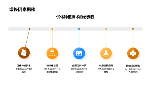 农作物增收策略展望