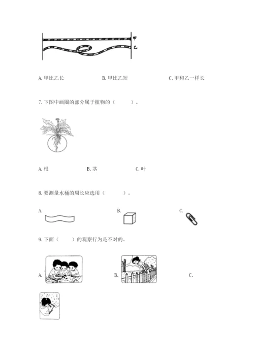 教科版一年级上册科学期末测试卷【典优】.docx