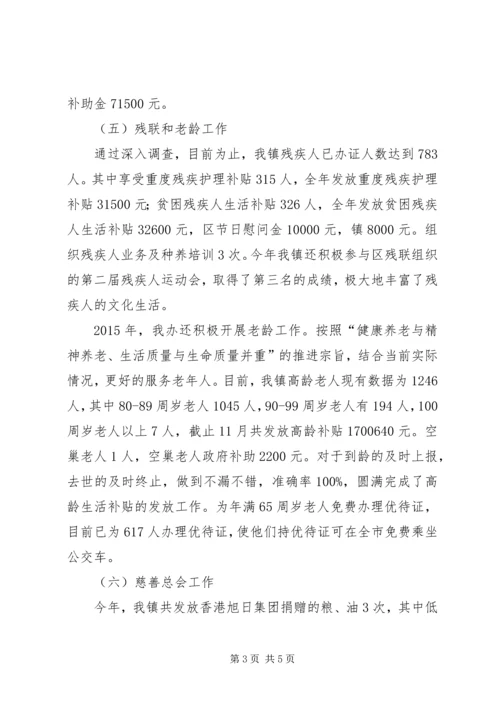 乡镇社会事务办工作总结暨工作计划.docx