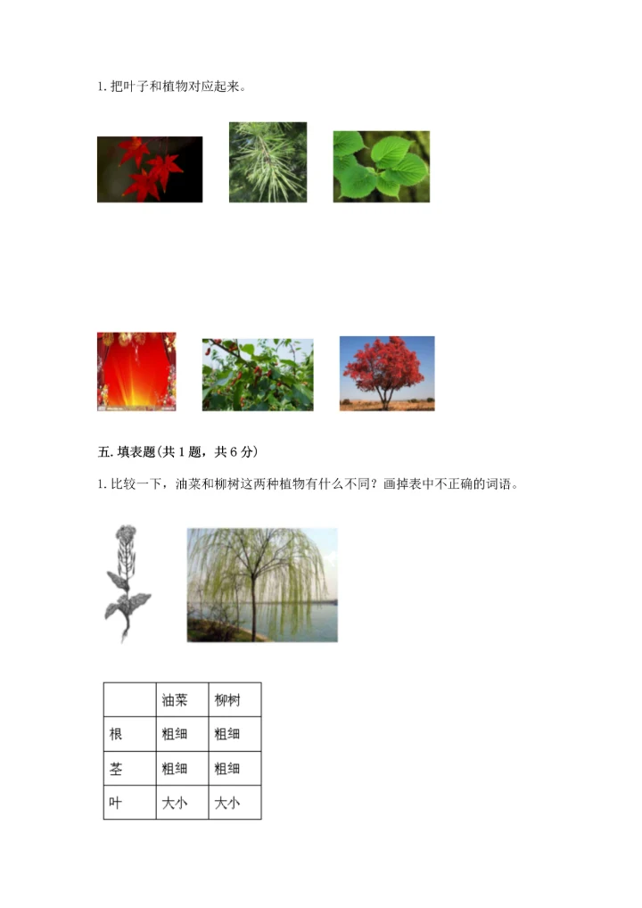 教科版一年级上册科学期末测试卷附答案【满分必刷】.docx