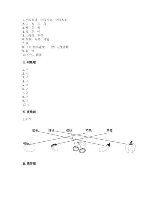 教科版一年级上册科学期末测试卷及答案【基础+提升】.docx