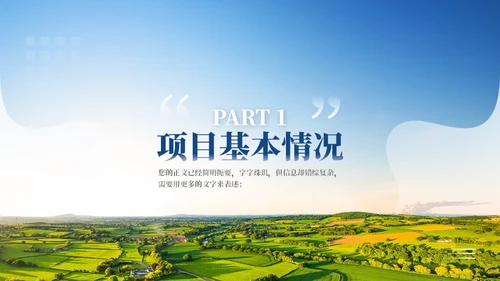 乡村振兴项目工作汇报通用PPT模板