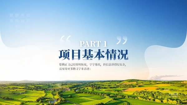 乡村振兴项目工作汇报通用PPT模板
