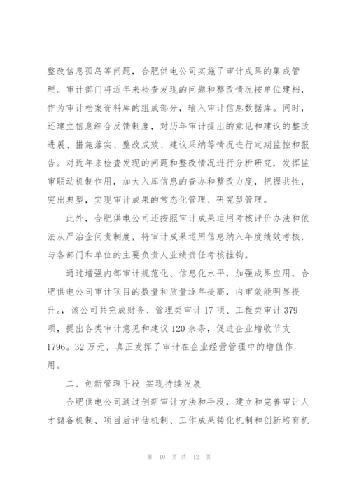 新成立公司内部审计工作总结.docx