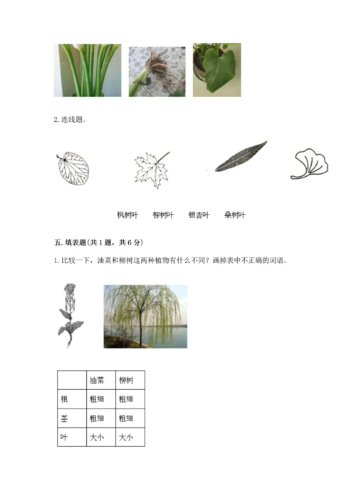 教科版科学一年级上册第一单元《植物》测试卷附参考答案【突破训练】.docx