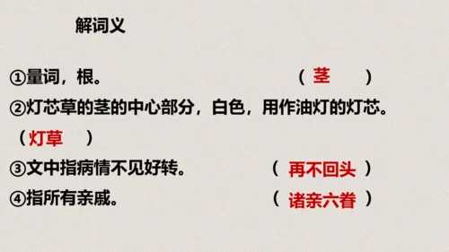 第13课《人物描写一组两茎灯草》（教学课件）