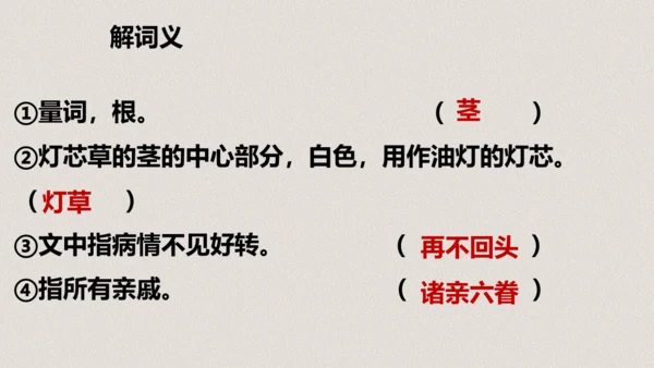 第13课《人物描写一组两茎灯草》（教学课件）