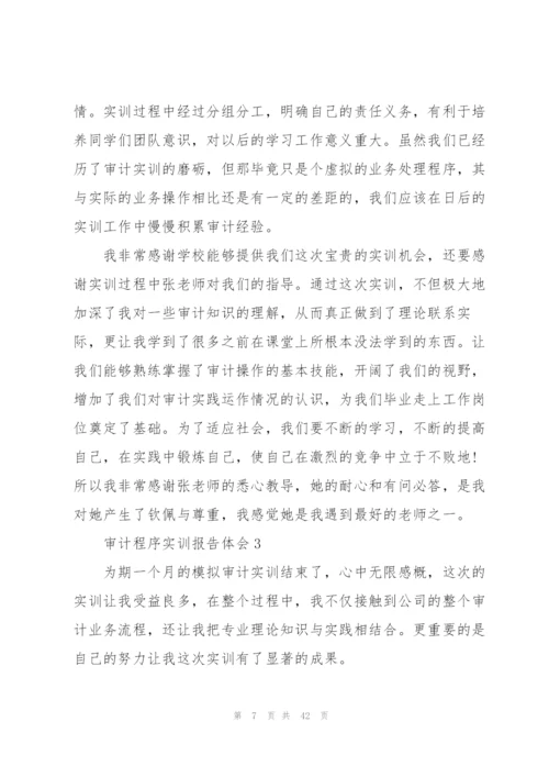 审计程序实训报告体会范本10篇.docx