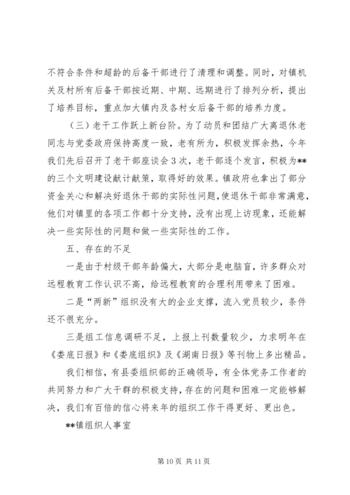 乡镇组织工作总结_1.docx