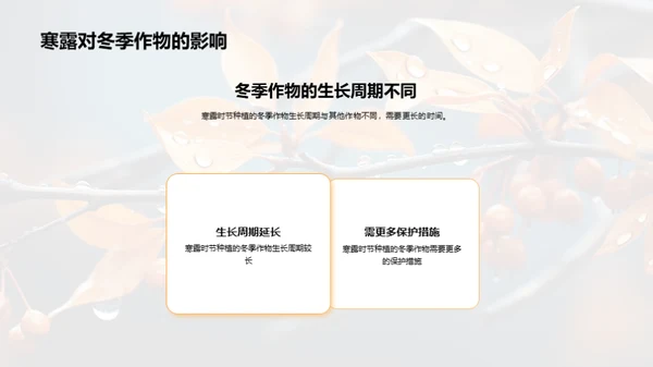 探索寒露节气