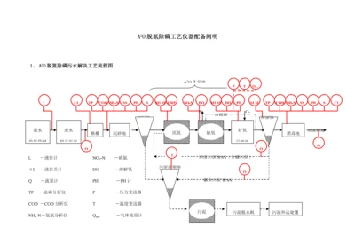 A二O脱氮除磷标准工艺仪器配置专题方案.docx