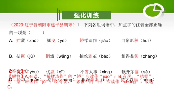 专题01：汉字（考点串讲）-2023-2024学年九年级语文上学期期末考点大串讲（统编版）课件(共2