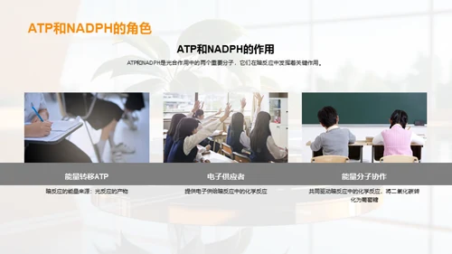 绿色能源之源
