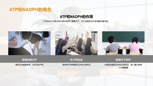 绿色能源之源