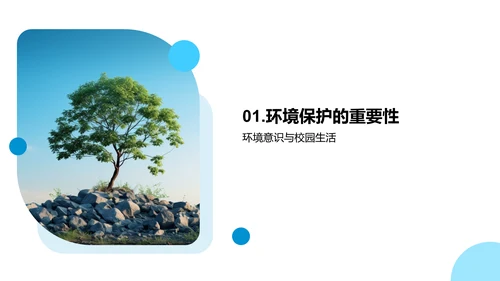 校园环保实践