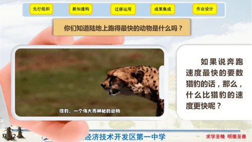 7《什么比猎豹的速度更快》（课件）