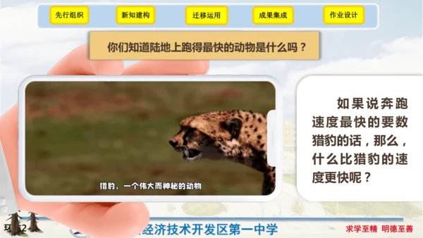 7《什么比猎豹的速度更快》（课件）