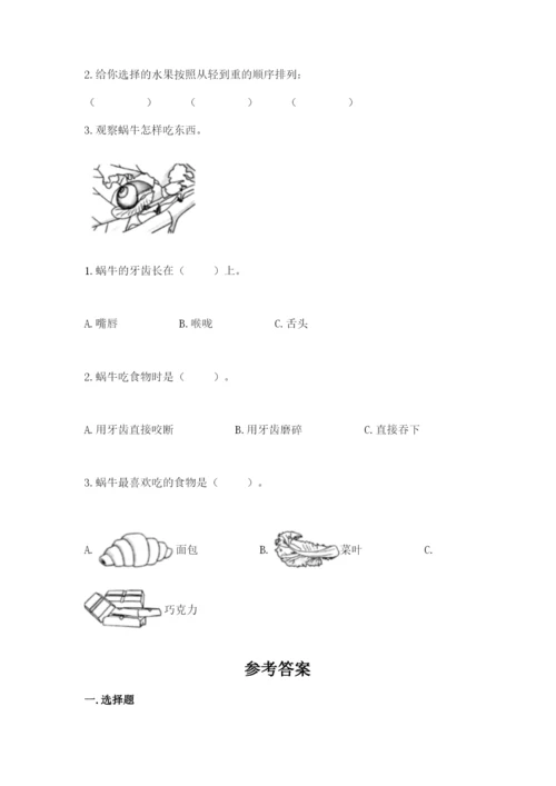 教科版一年级下册科学期末测试卷【巩固】.docx