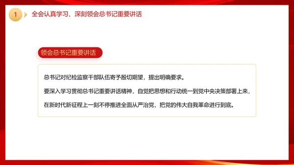 二十届中央纪委二次全会公报党政风党课PPT模板