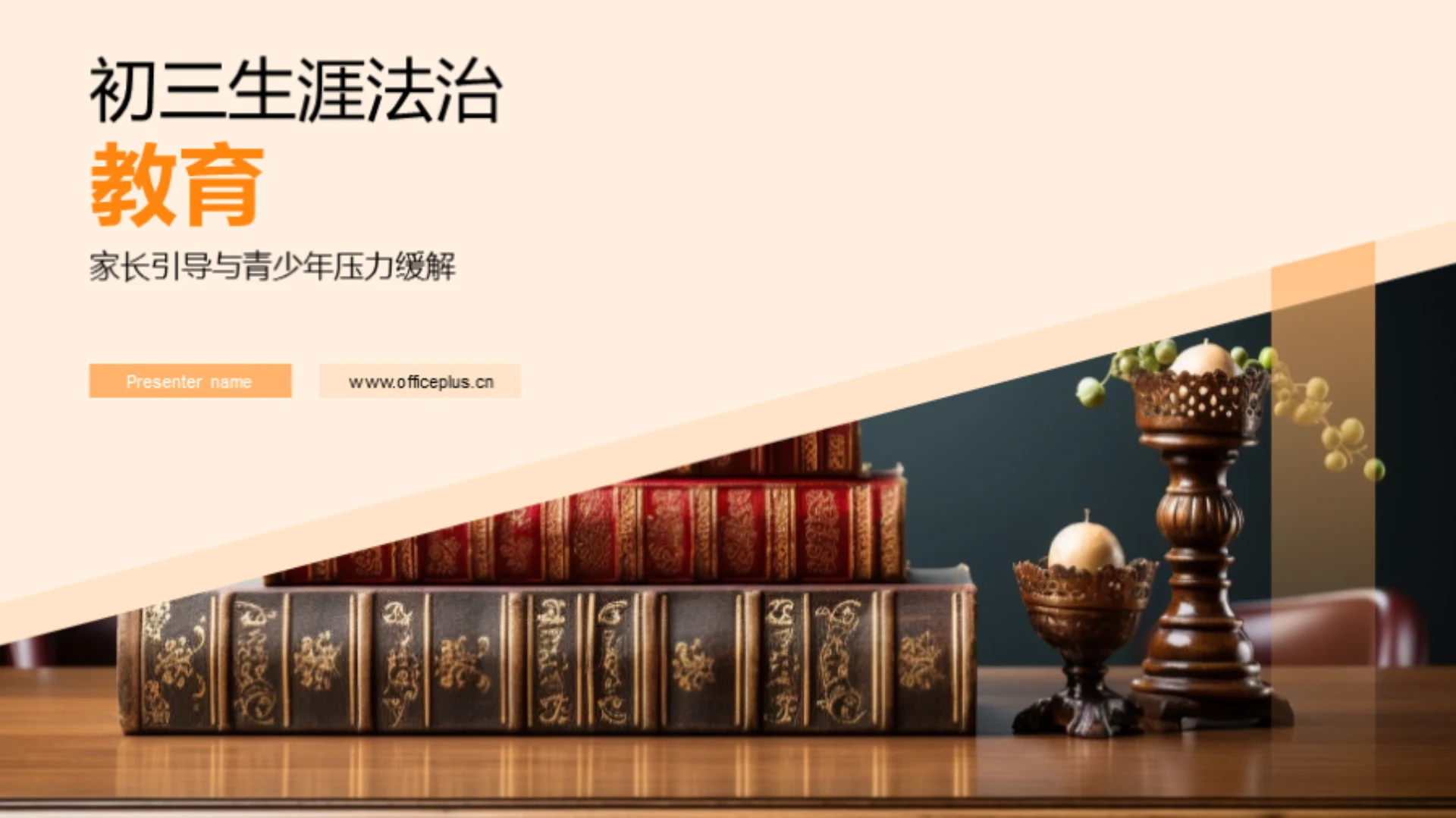 初三生涯法治教育