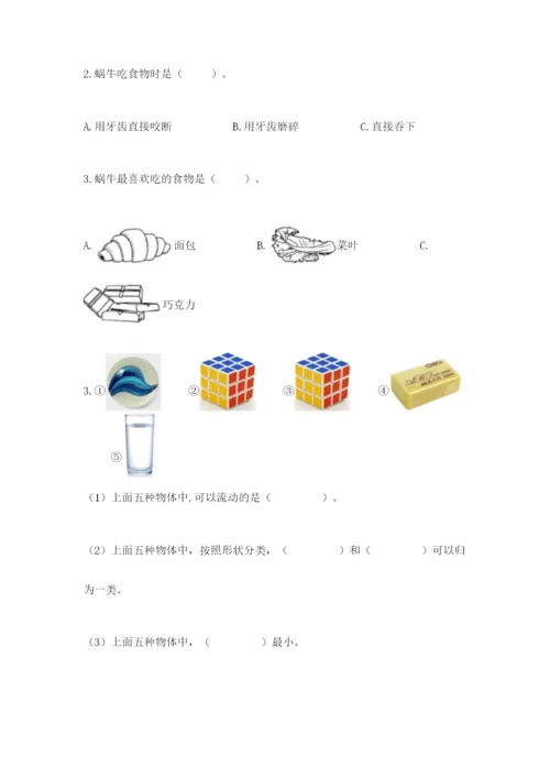 教科版一年级下册科学期末测试卷及答案（最新）.docx