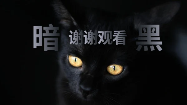 暗黑风格神秘黑猫黑暗风通用PPT模板
