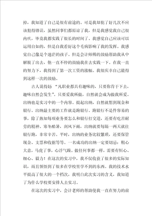 XX年会计出纳实习总结