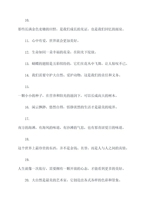 冰波童话经典好词好句