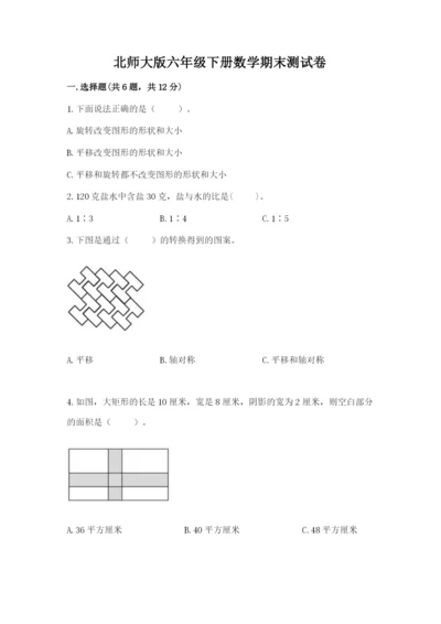 北师大版六年级下册数学期末测试卷带精品答案.docx