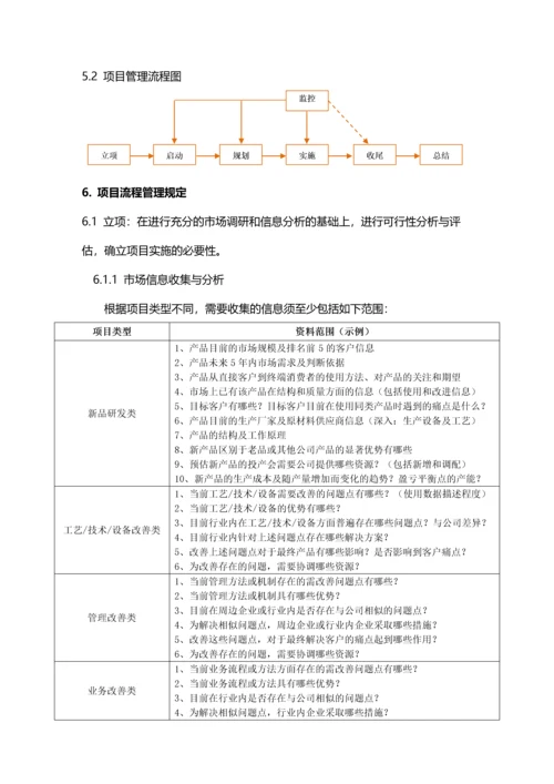 公司项目管理制度.docx