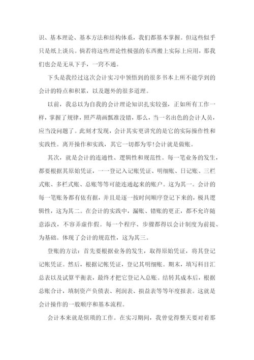 会计工作总结怎么写10篇.docx