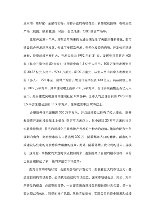 “金桥湾”年度执行专题策划案.docx