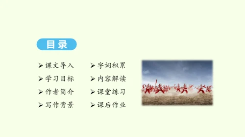 第3课 安塞腰鼓 统编版语文八年级下册 同步精品课件