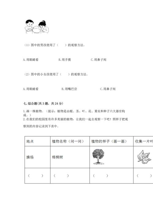 教科版科学一年级上册第一单元《植物》测试卷含完整答案【必刷】.docx