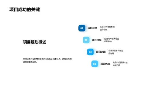 创新引领新项目