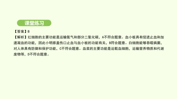 第四单元-第四章-第一节-流动的组织——血液课件-2024-2025学年七年级生物下学期人教版(20