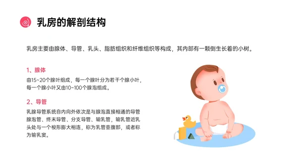 粉红色简约风乳房护理相关知识培训PPT课件乳腺