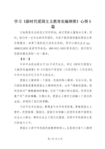 学习《新时代爱国主义教育实施纲要》心得5篇 (2).docx