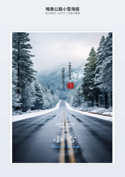 唯美公路小雪海报