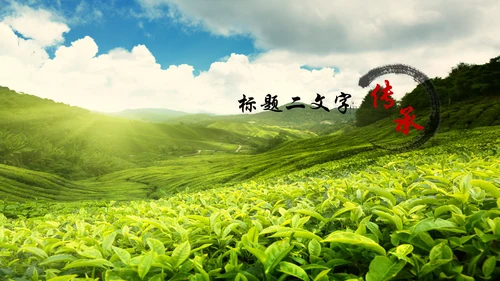 开头视频片头中国风茶文化ppt动态模板